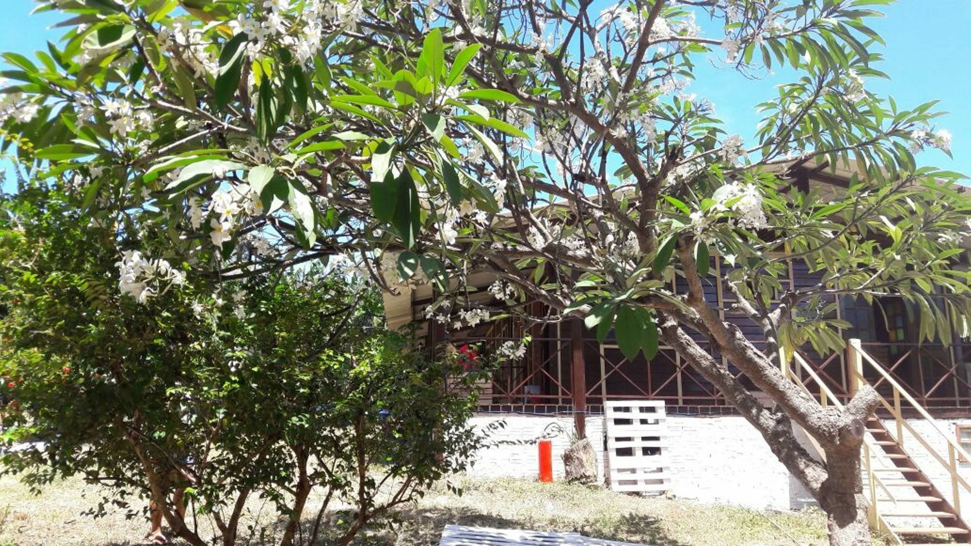 Pousada Boldro Home Fernando de Noronha Exterior photo