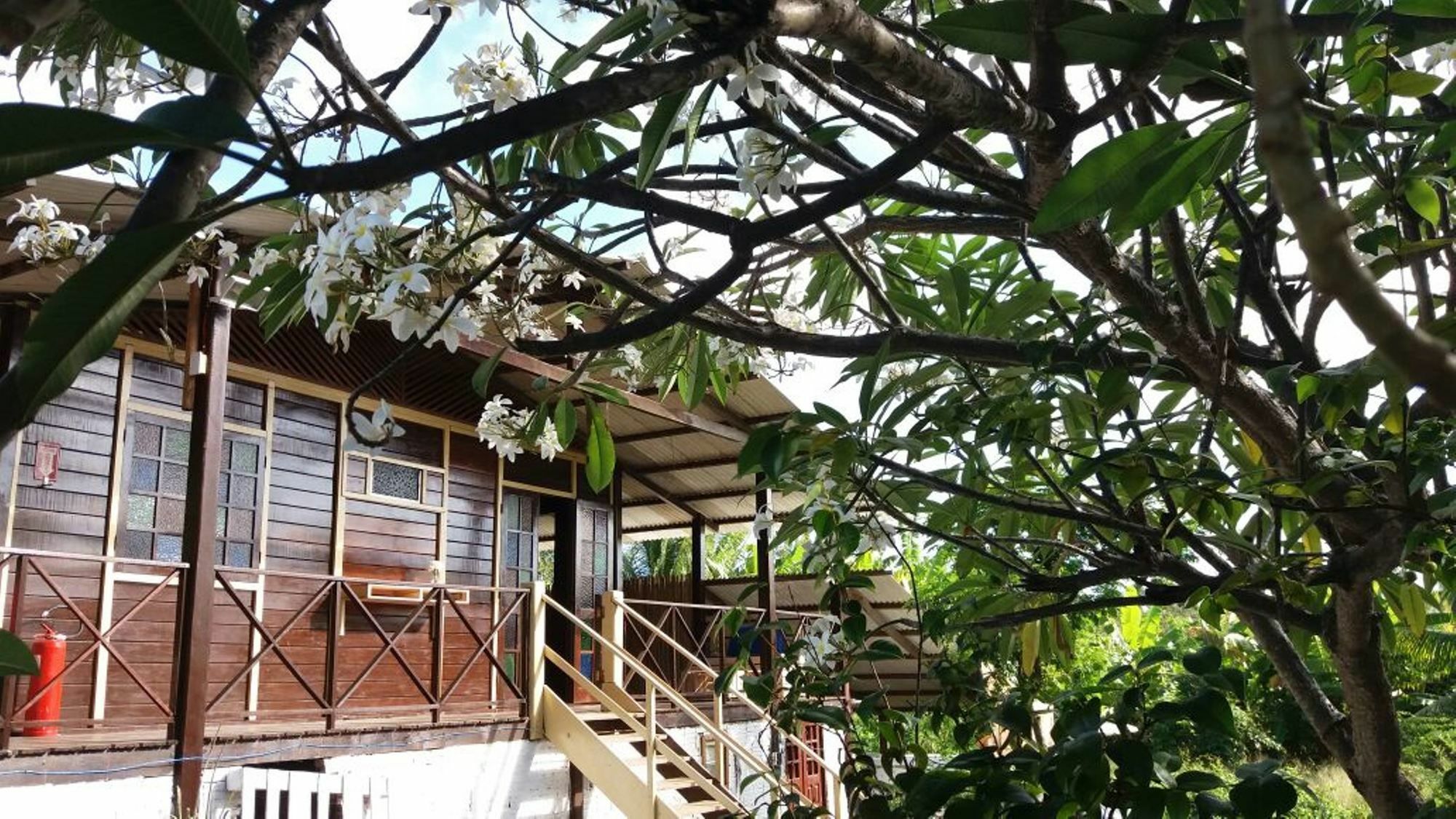 Pousada Boldro Home Fernando de Noronha Exterior photo